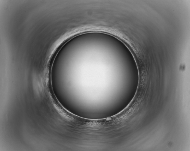 X0000100981511200806241530