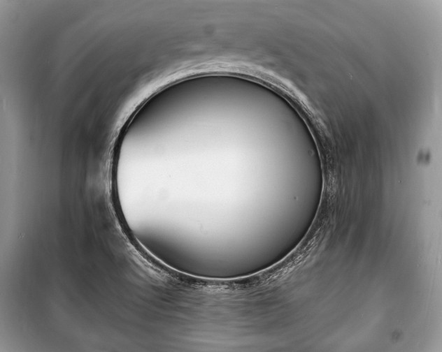X0000100981512200806241530