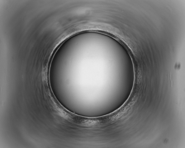 X0000100981513200806241530