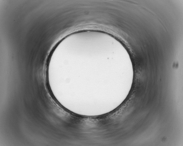X0000100981514200806241530