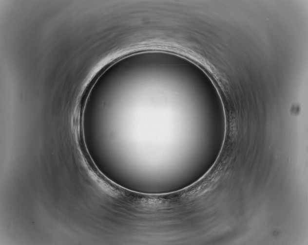 X0000100981515200806241530