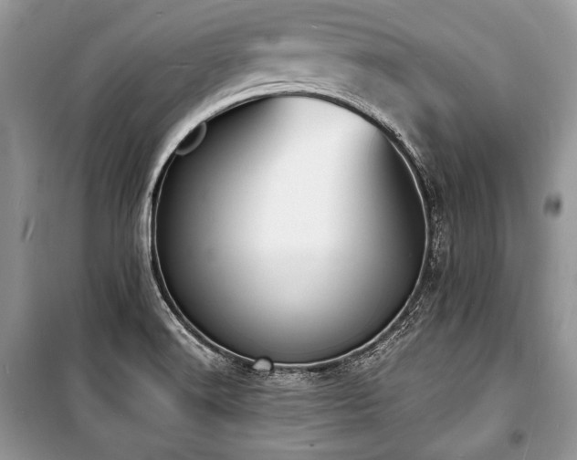 X0000100981516200806241530