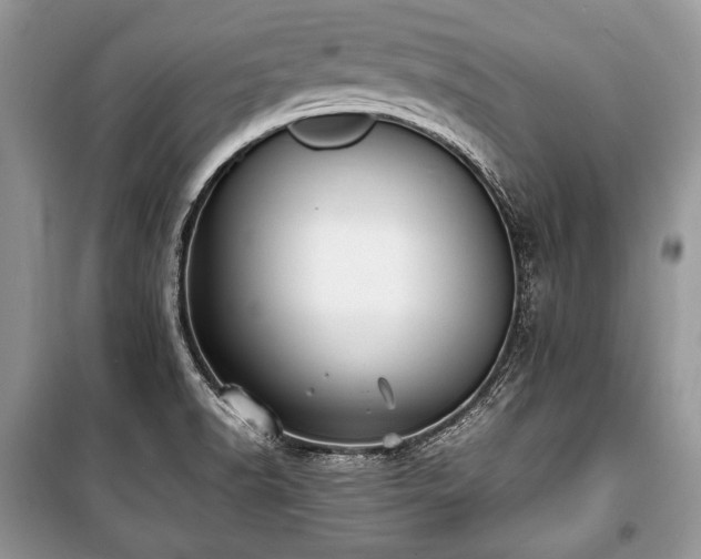 X0000100981518200806241530