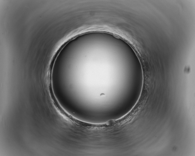 X0000100981519200806241530