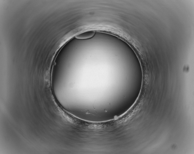 X0000100981521200806241530