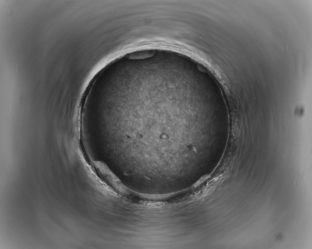X0000100981522200806241530