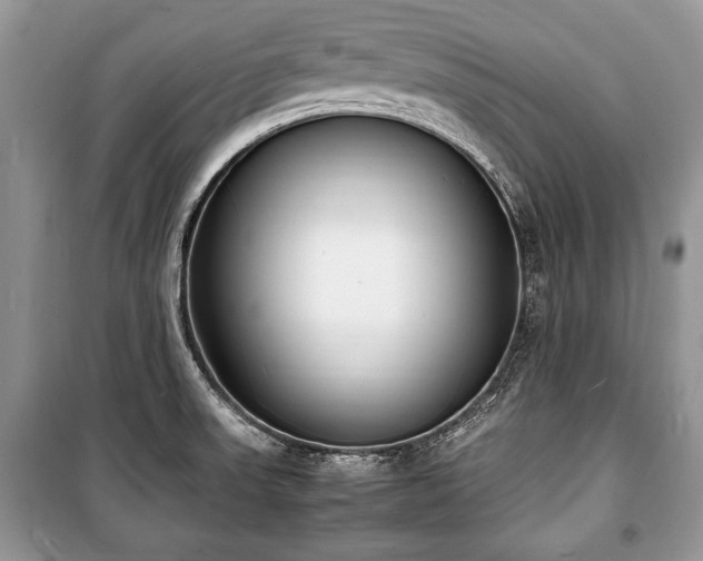 X0000100981523200806241530