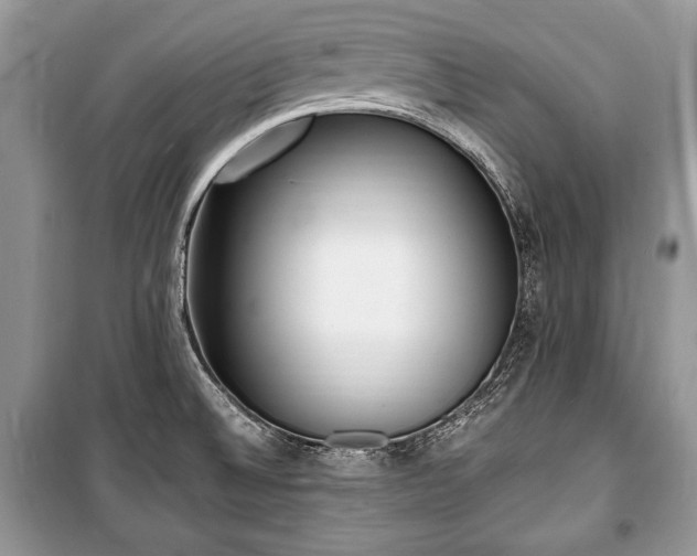 X0000100981524200806241530