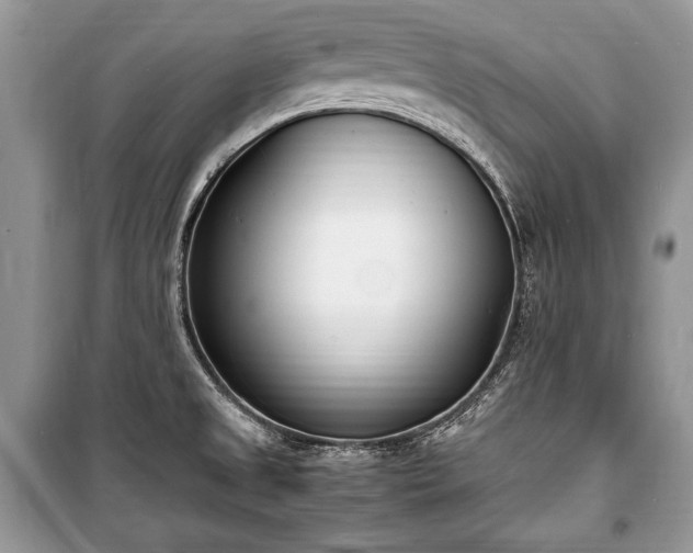 X0000100981525200806241530