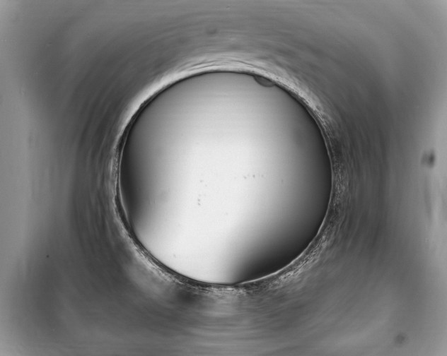 X0000100981526200806241530