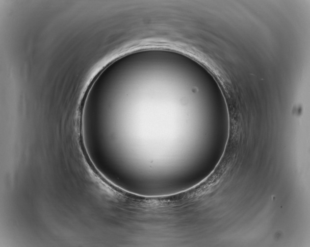 X0000100981527200806241530