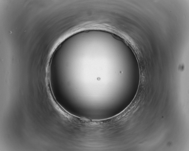 X0000100981528200806241530