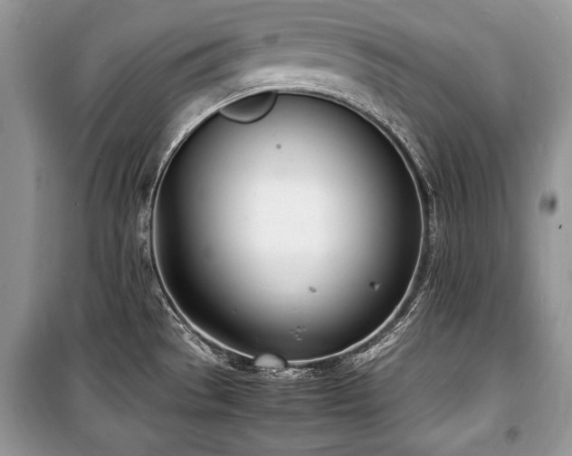 X0000100981529200806241530