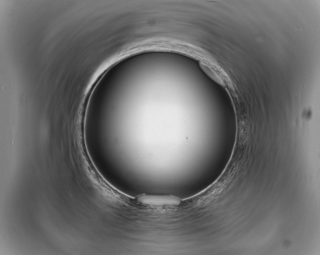 X0000100981530200806241530