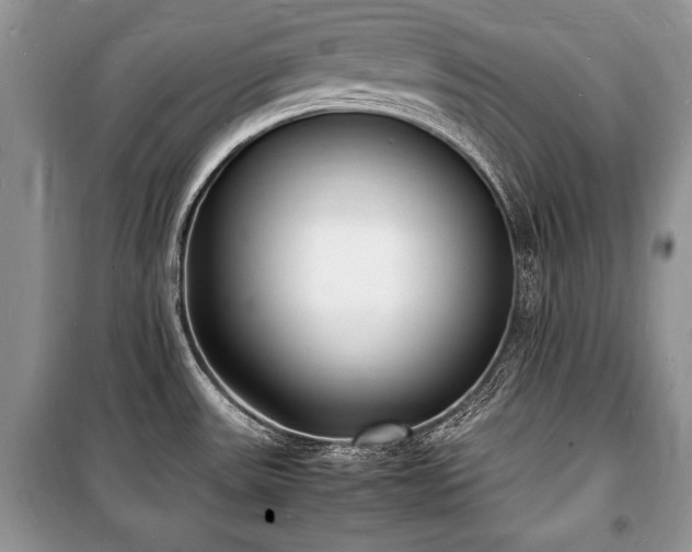 X0000100981531200806241530