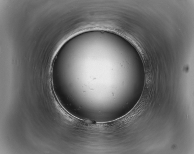 X0000100981532200806241530