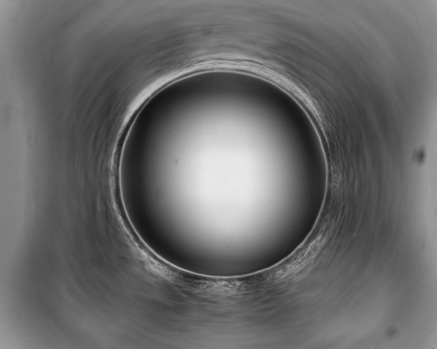 X0000100981533200806241530