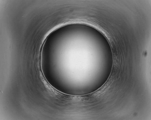 X0000100981534200806241530