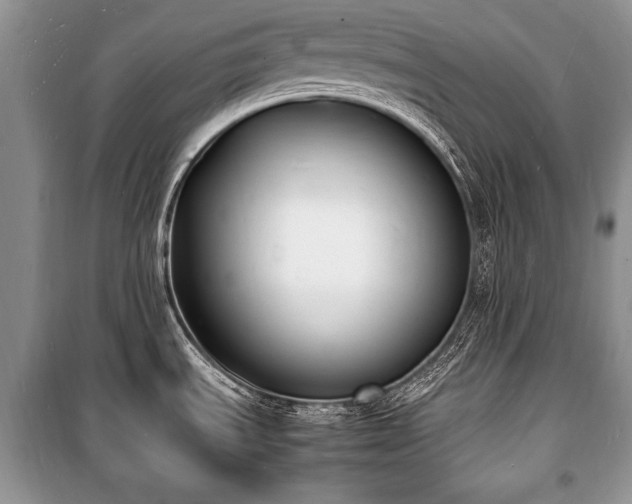 X0000100981535200806241530