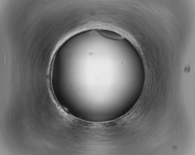 X0000100981536200806241530