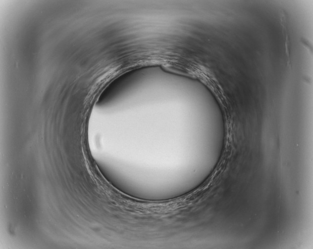 X0000100980001200807011454