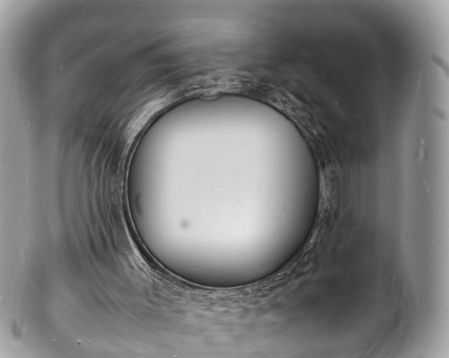 X0000100980003200807011454