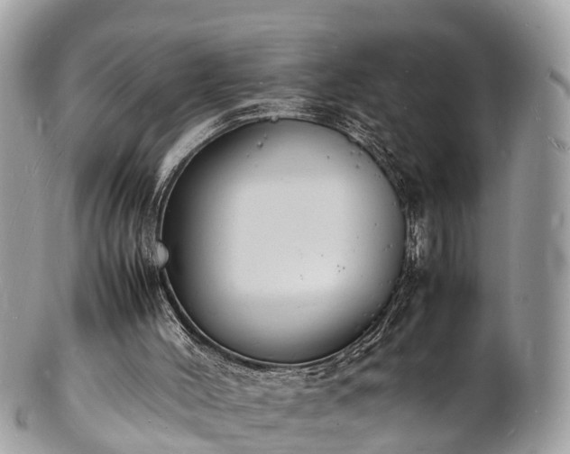 X0000100980004200807011454