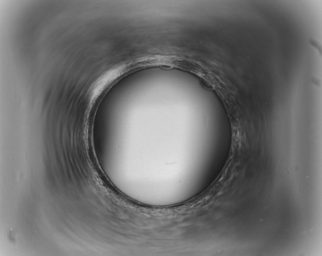 X0000100980006200807011454