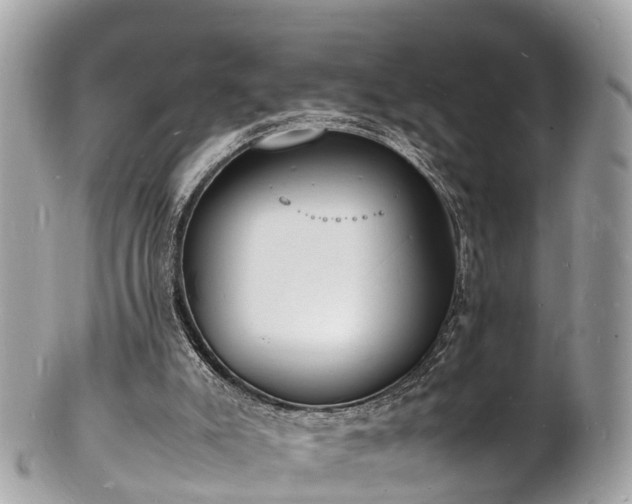 X0000100980007200807011454