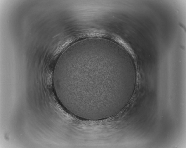 X0000100980009200807011454