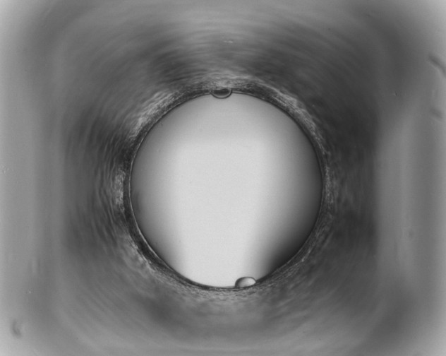 X0000100980010200807011454