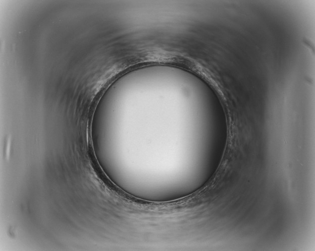 X0000100980011200807011454