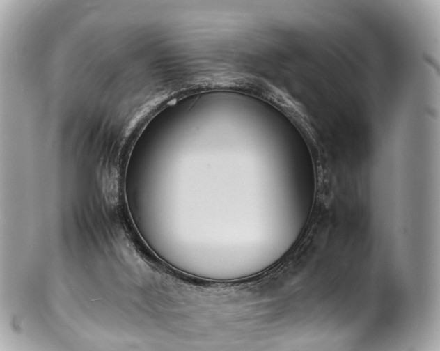 X0000100980012200807011454