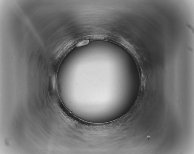 X0000100980013200807011454