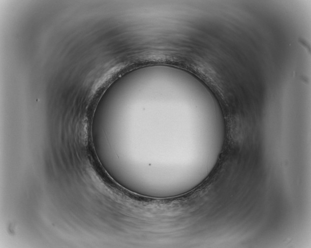 X0000100980016200807011454