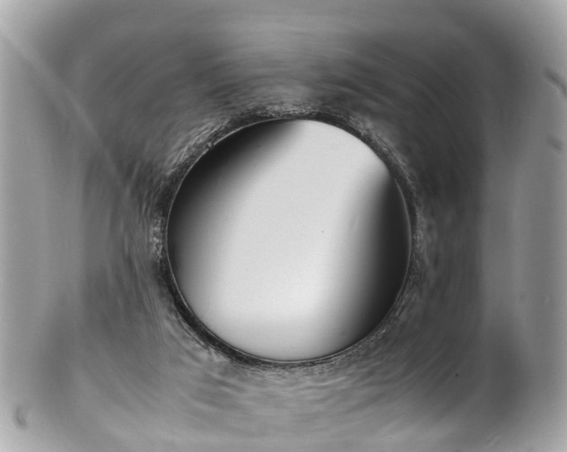 X0000100980017200807011454