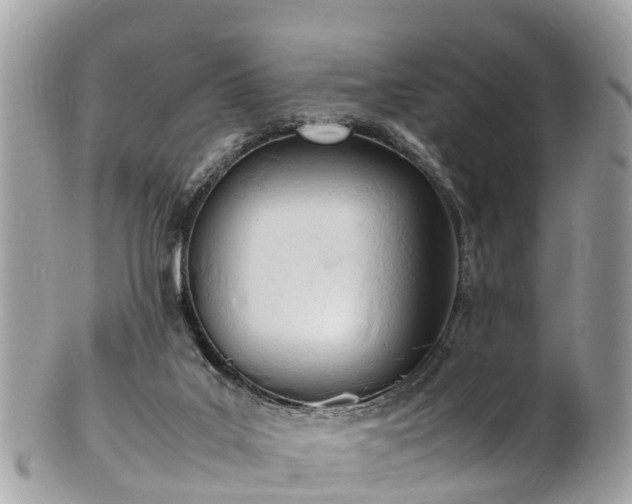 X0000100980019200807011454