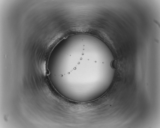 X0000100980020200807011454