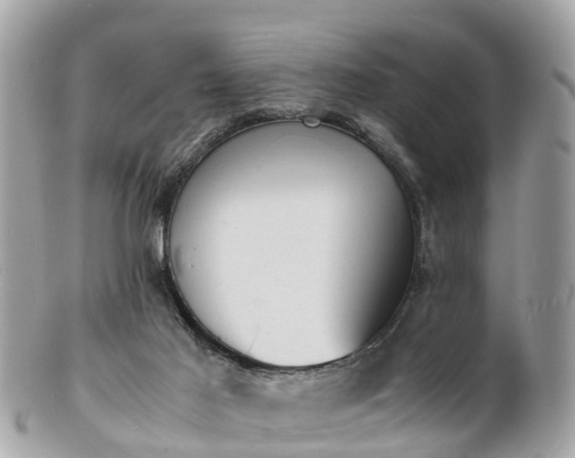 X0000100980021200807011454