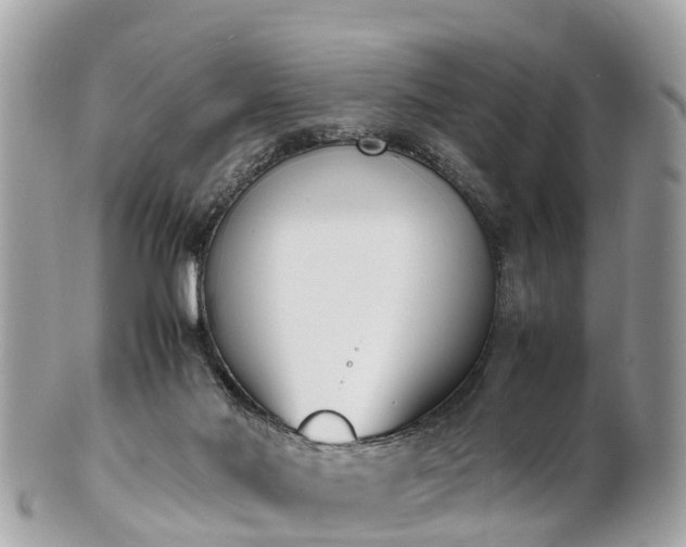 X0000100980022200807011454