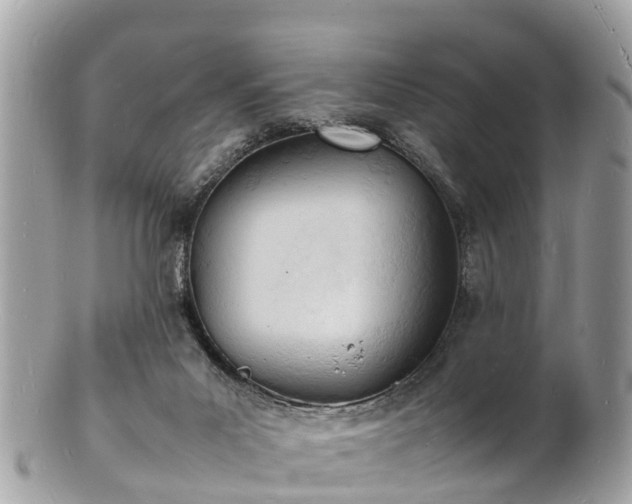 X0000100980023200807011454