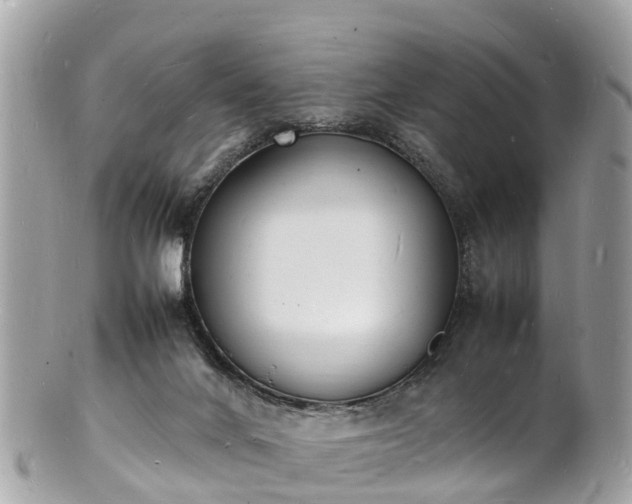 X0000100980024200807011454