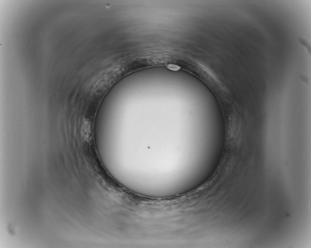 X0000100980025200807011454