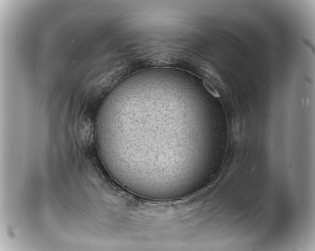 X0000100980029200807011453