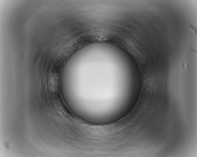 X0000100980030200807011453