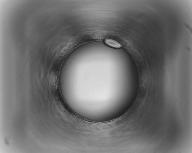 X0000100980031200807011453