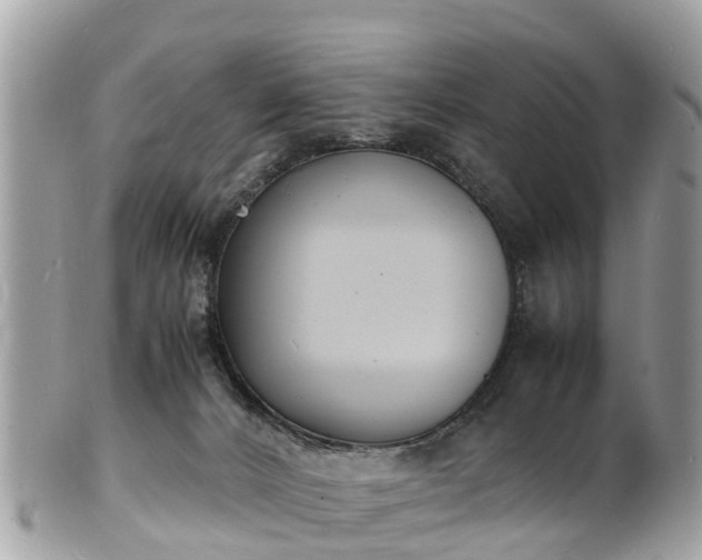 X0000100980032200807011453