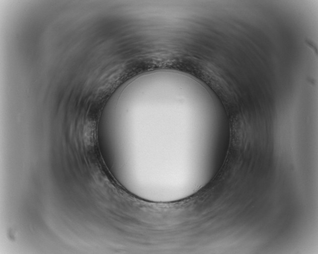 X0000100980034200807011453