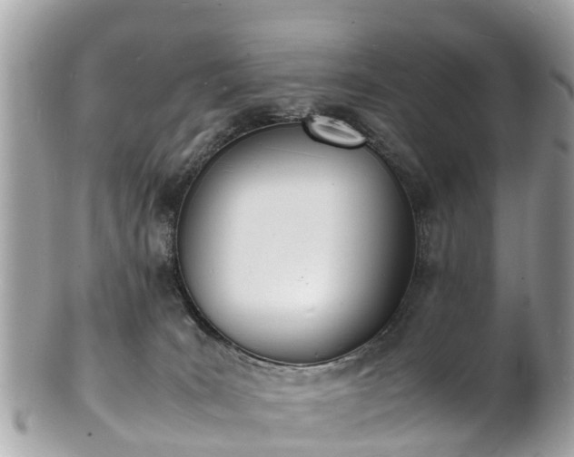 X0000100980035200807011453