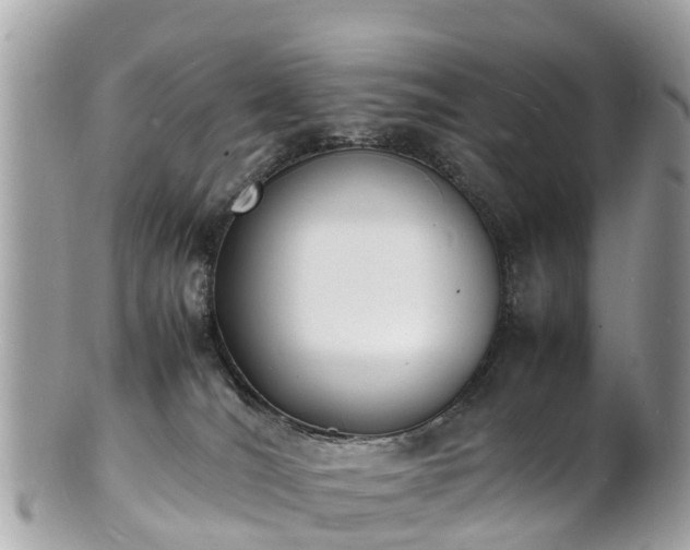 X0000100980036200807011453